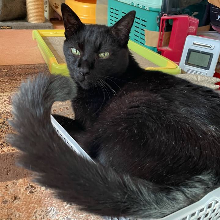 6ebbe1c5 3ab5 42c8 abb4 e28bbcb6ec62 1627259179530