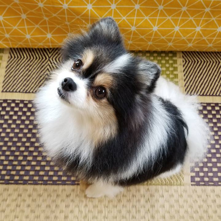 6ebbf5e8 3034 460f 8536 abbabbeb5c3e 1569194614199