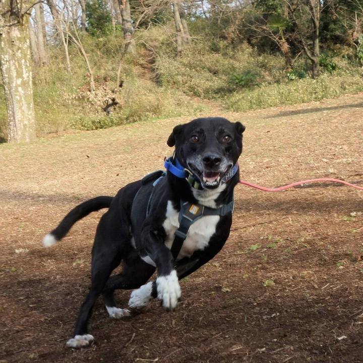 6ebc457d ede6 4ff7 a653 780f4662bf7d 1707959554134