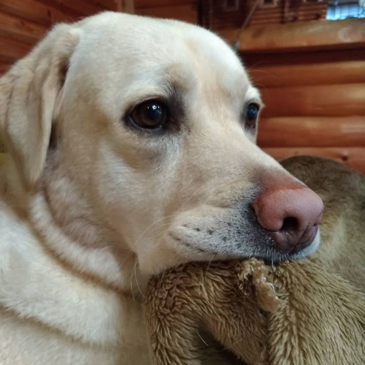 6ebc4b10 5bc5 48bd be06 97ab4ba42209 1576909798270