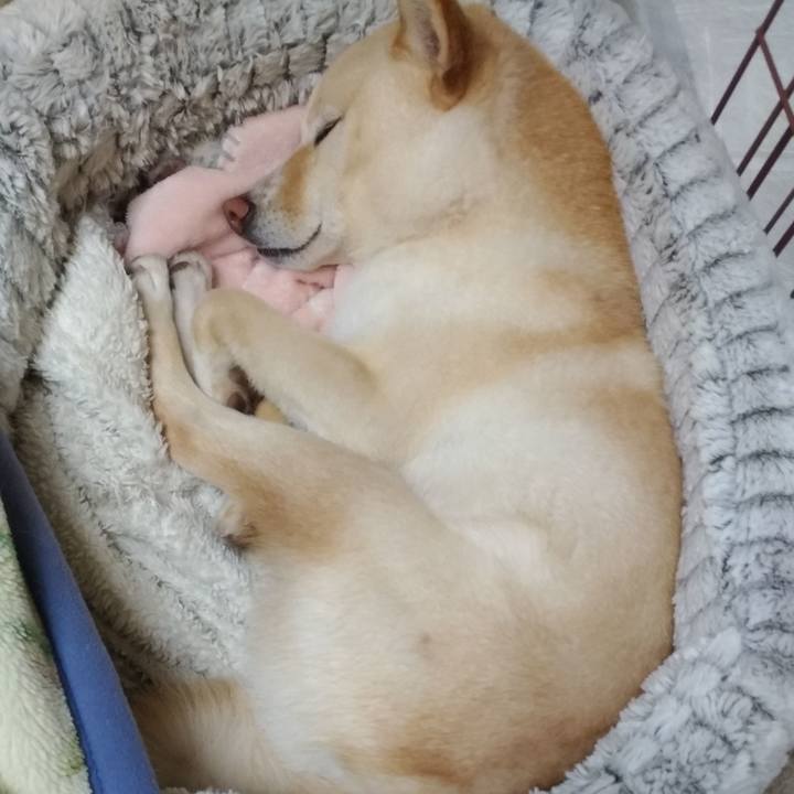 6ebc550e 8e70 49f6 89d6 dc66f3e18488 1587904296995