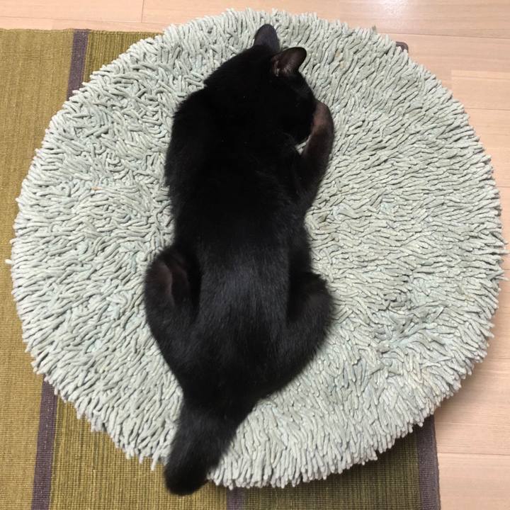 6ebc9daf 42ac 41bd ae73 ab208f7ed001 1534164180927