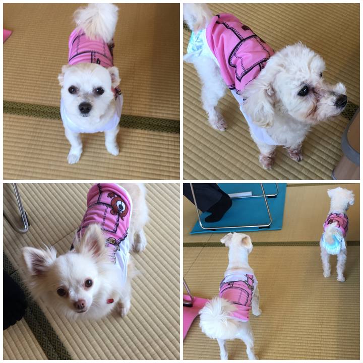 6ebca56d c819 43b1 899d 1bab316389c9 1524202431062