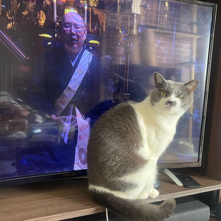 6ebcc1d3 1df0 4950 a976 965a5d5792dd 1737872730381