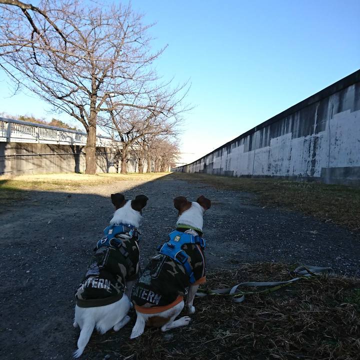 6ebccccc 6c25 4a28 995d 5384d8c97de9 1578104675942