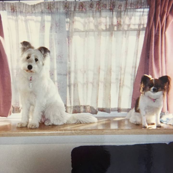 6ebcd53d 9f81 4f5a aed9 b96d8c5b0235 1526645917393