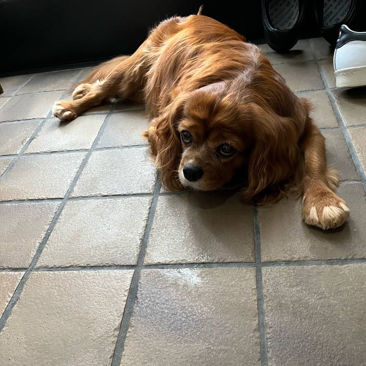 6ebcf886 5a72 42ec a9d5 43d0dda2f668 1661293661284