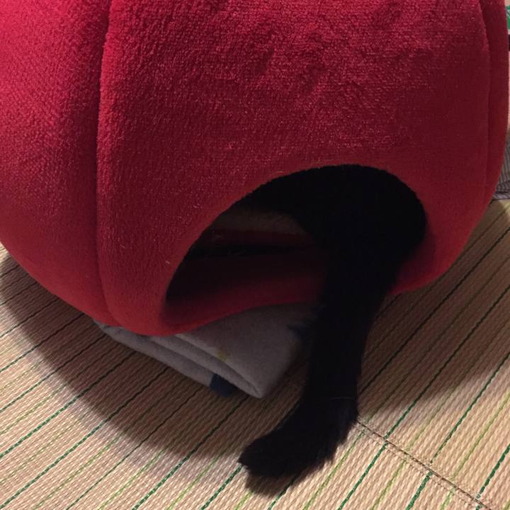 6ebd0a83 8662 40f8 8a2a 6d8dbc8b597e 1538044510225