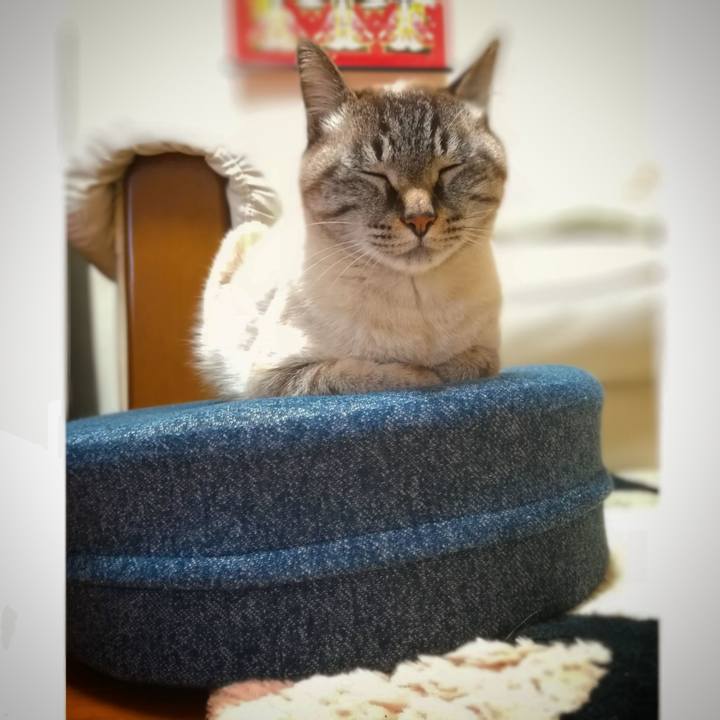 6ebd0b3f 11f1 49e4 bd03 71e9aafe06f1 1580635803567