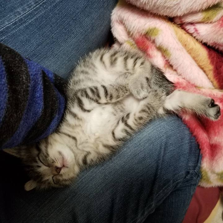 6ebd2a9a feac 4b50 ac97 315296875bab 1661182395007