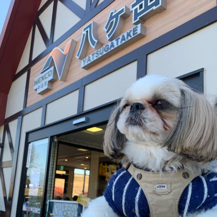 6ebd326d 8fc9 40e1 a2bc a8d8f683b805 1668864181317