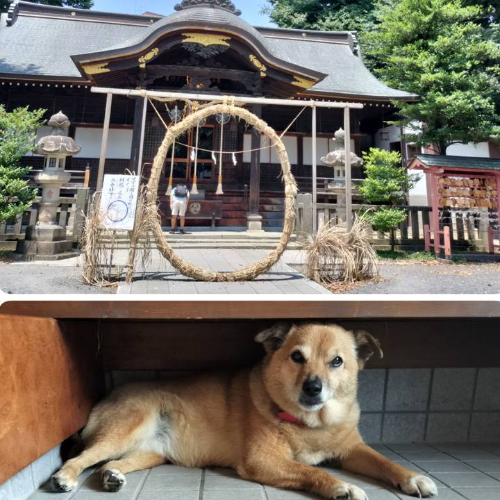 6ebd3977 8286 4bc5 99e6 4ec57e7308f5 1751895257707