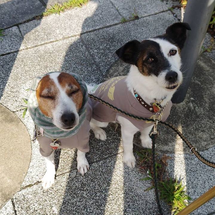 6ebd46de de4d 40bb a033 3c94e8e4f000 1749161018619