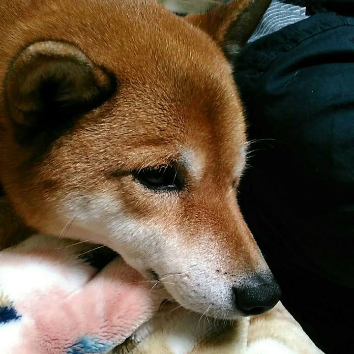 6ebd59ef bc6d 435b b383 11299dcf738b 1573385743613