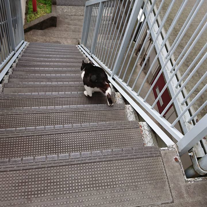 6ebda071 5ea8 4968 91e9 43c877fe29f2 1587942817470