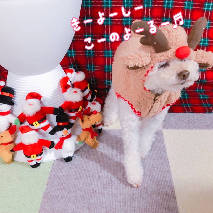 6ebda331 5a22 447d a7f3 9a4e48ed9769 1545561887315