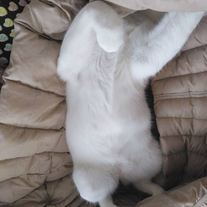 6ebdb8d4 4a7a 4bc5 a7b7 a96dc27fcac7 1707544070086