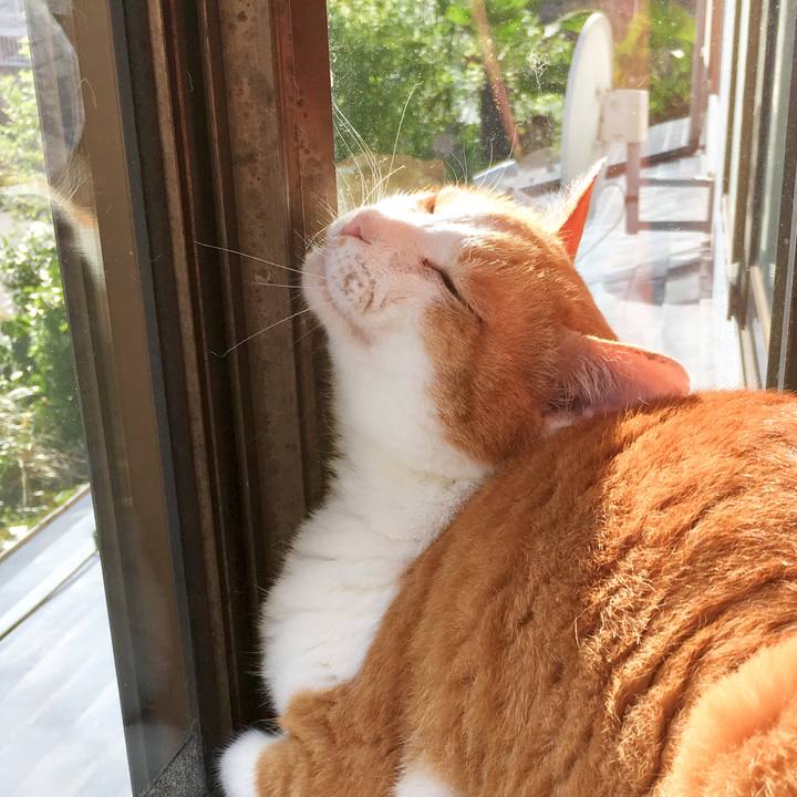 6ebdf187 4ca9 4386 a52d a6083614da0f 1560827676329