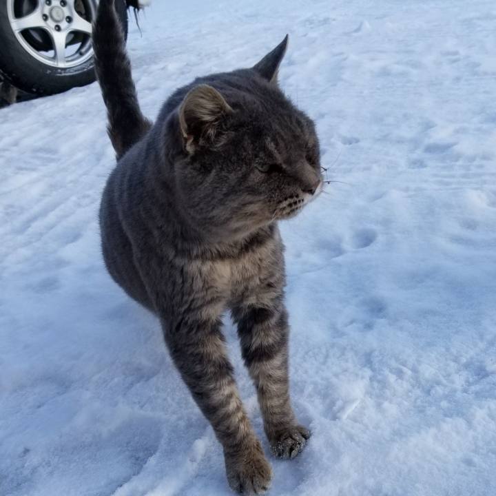 6ebe20a1 4ebc 49af 9f07 96a2f74da4fd 1544419927554