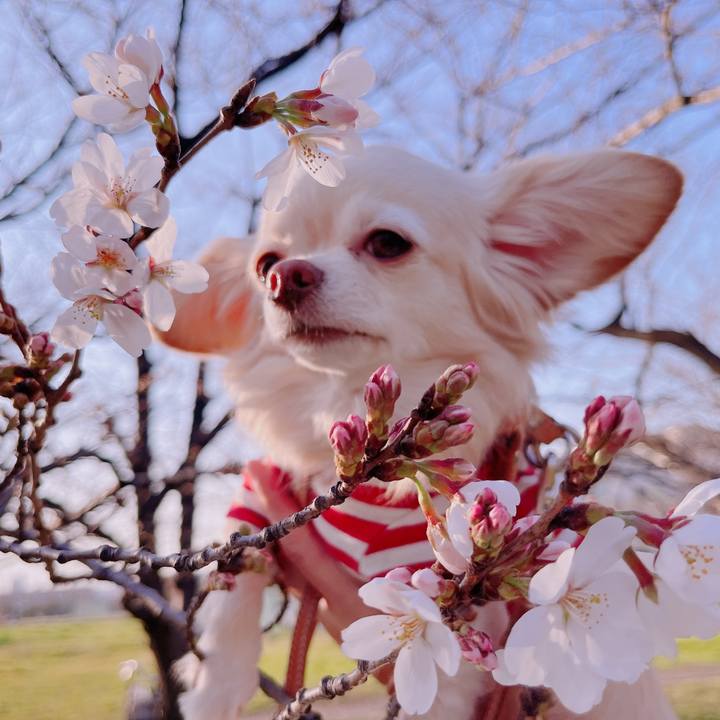 6ebe518b dd38 42f2 b227 a87711d91acf 1678964173048