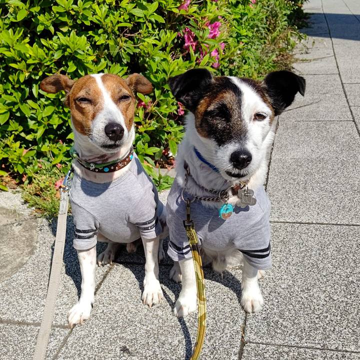 6ebe60e1 4736 458d 980c cc04e4540526 1683157956550