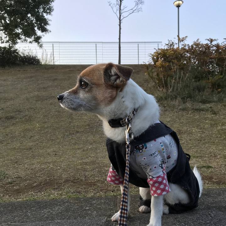 6ebe6b21 97f9 4793 8840 8b2c4d8c3a5f 1584437139452