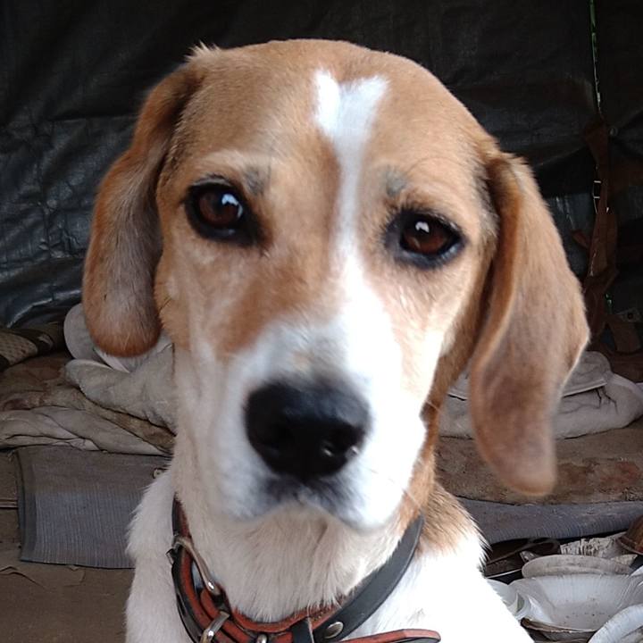 6ebe8869 b2ad 4462 b744 58c380919d16 1664764219046