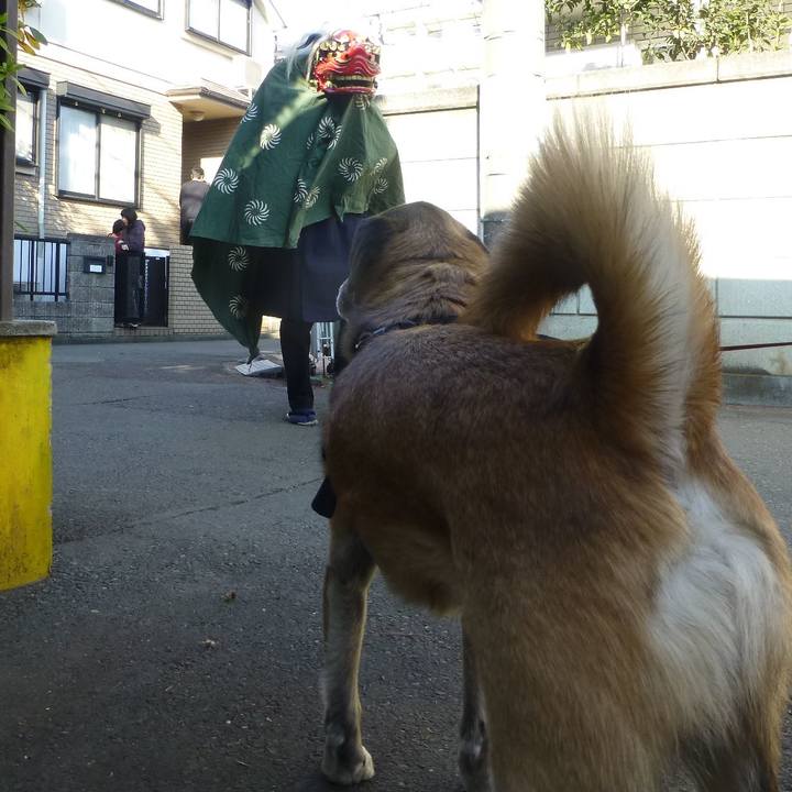 6ebec629 1e9b 4318 98b9 6b1c5b447cb5 1579427831490