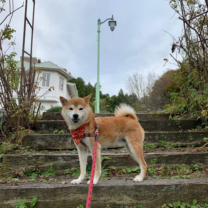 6ebec8c9 f607 4039 8f72 5bf96f01a2dc 1573203008612