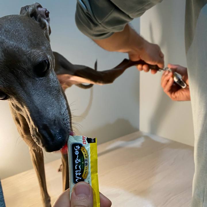 6ebecae1 63ba 464a 8846 7c1bc3da0bf6 1770114153571