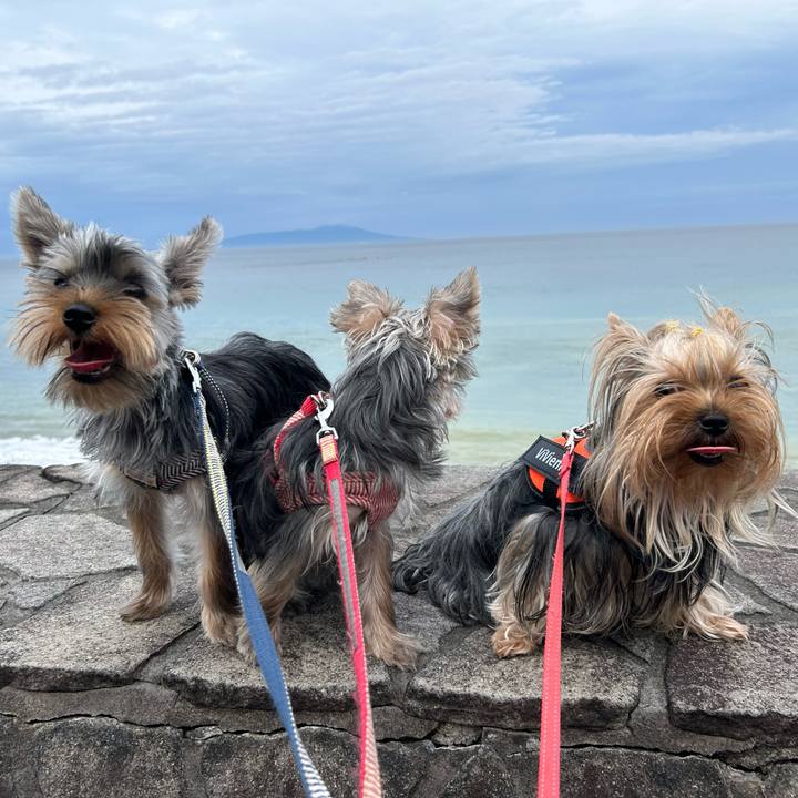 6ebed781 3ca4 4b81 a561 47a2a640f39d 1721533645252