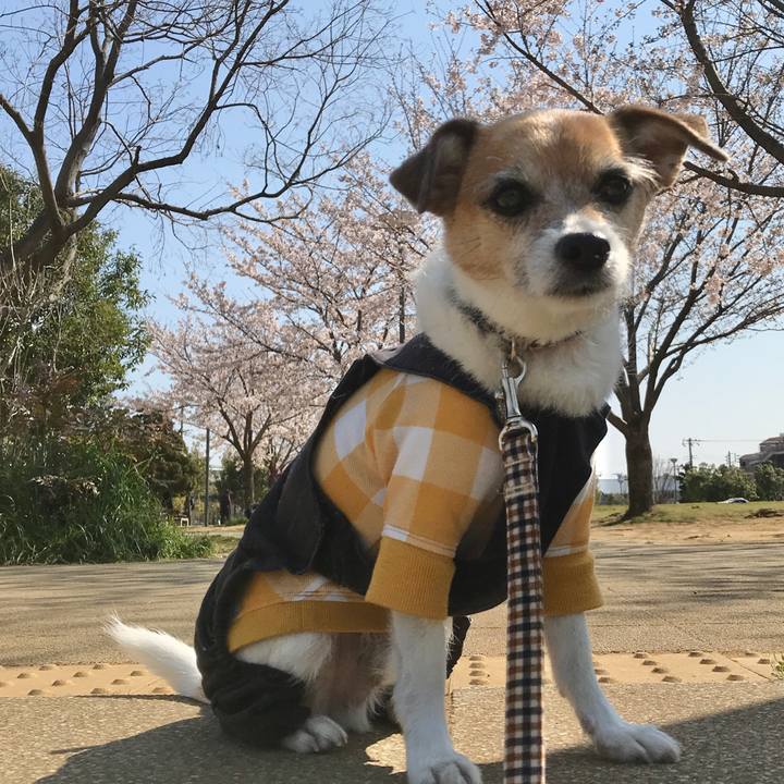 6ebee067 ca70 49eb 800f 0f3e525f7959 1585185508433