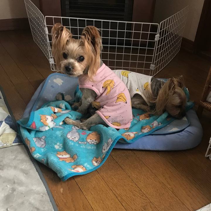 6ebf1204 ffa1 46dd bf07 1b24c01b55d6 1619774975950