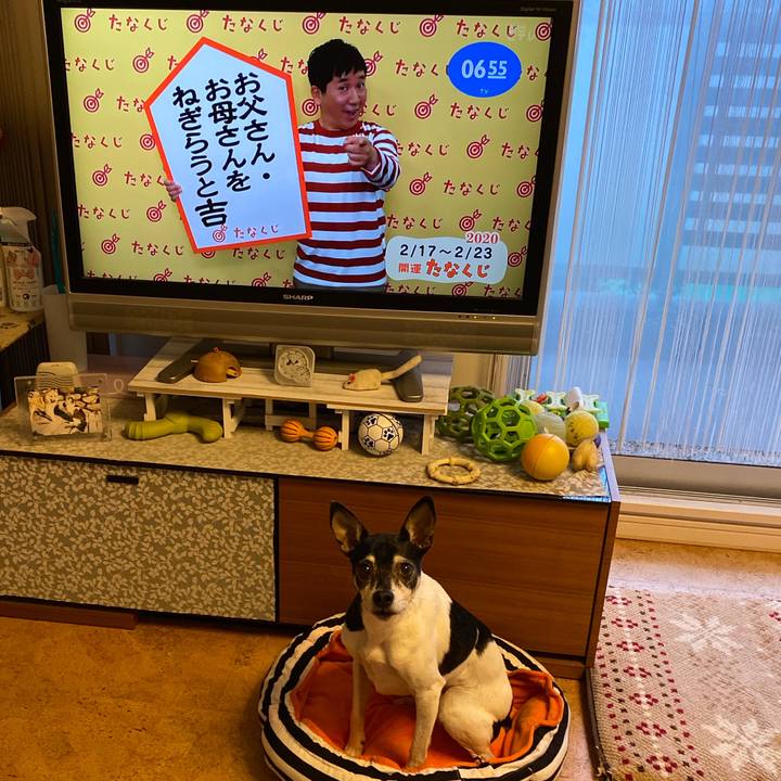 6ebf1953 0ddf 4cea 8c83 192c1282302b 1581893769540