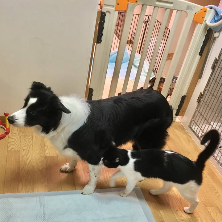 6ebf26e8 54aa 4316 b005 e92c0882e750 1543395057812