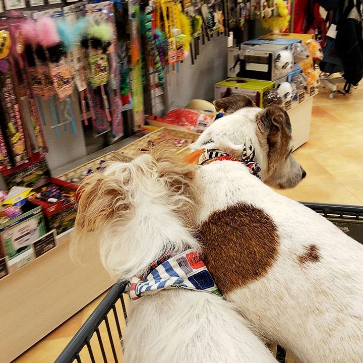 6ebf616d 8311 4513 a286 7cfb1b6a006d 1564286783443