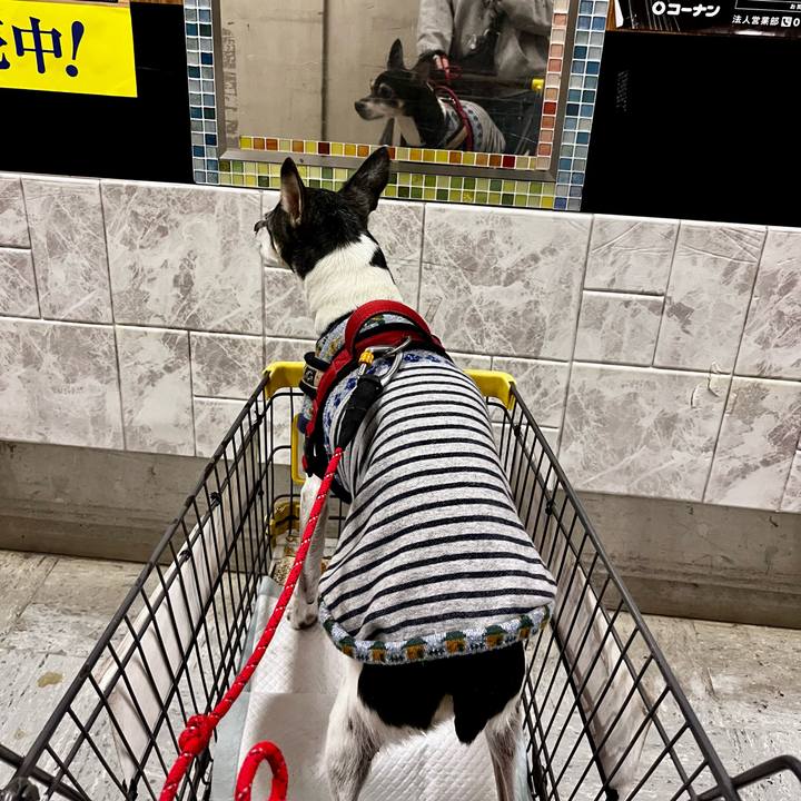 6ebf64fc 2447 4c5c b80b 4c95c24bc6b4 1635036432967