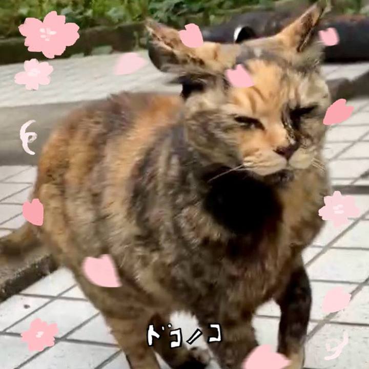 6ebf66ec c0b2 4214 8acd 0b2cef568012 1744288854503