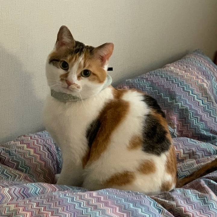 6ebfbacb 3df8 41e9 8ff9 5cda1195b31c 1680949537202