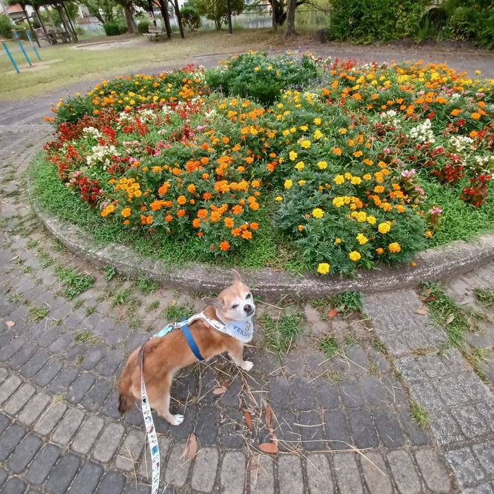 6ebfbc16 c212 4ab7 a1c9 b43e91359d15 1751923799787