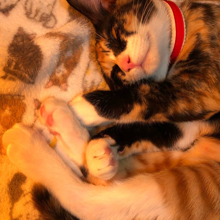 6ebff237 bdd0 429d bd29 b9068597d23f 1546179887050