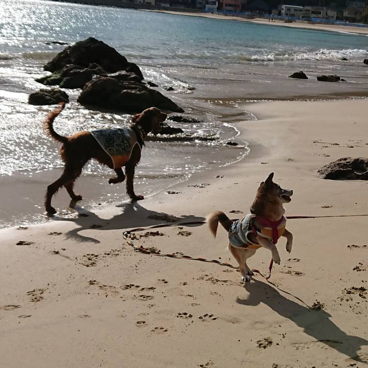 6ec00a7b 3c72 49c2 a062 a9074f5a71bd 1546395424816