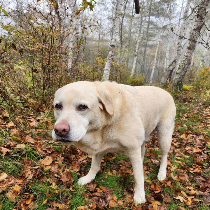 6ec0227b 02a4 4fc3 b8ae 803d18287267 1761045138373