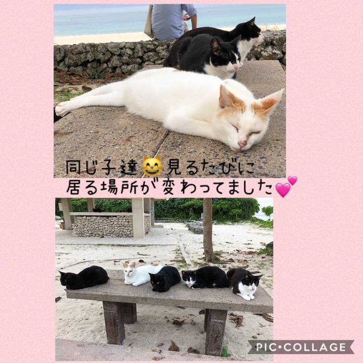 6ec02f21 51eb 49ce bc1f 9cb6505ceb4a 1543920024559