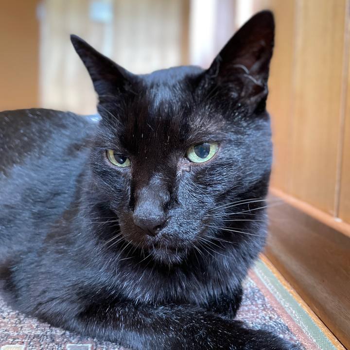 6ec043b9 8e3a 460e a9b1 4e06113a4c03 1660358522855