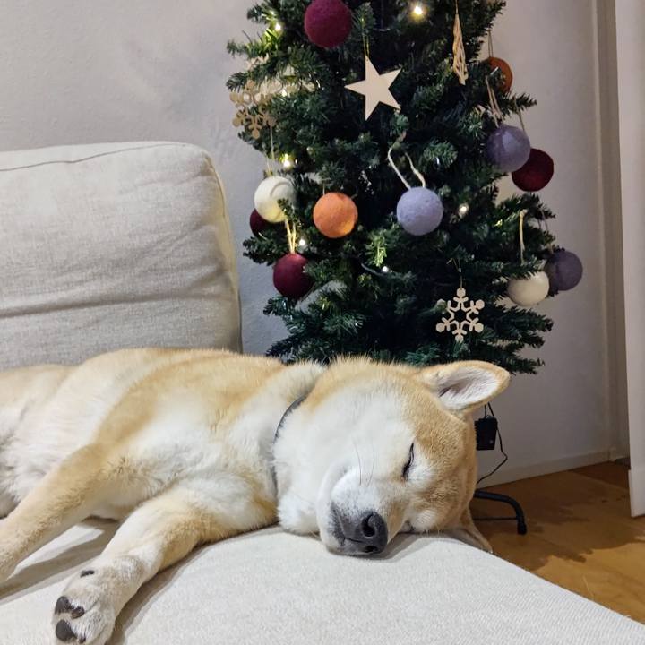 6ec07276 ae13 49cc b2a5 e6e23db7d7eb 1608295067568