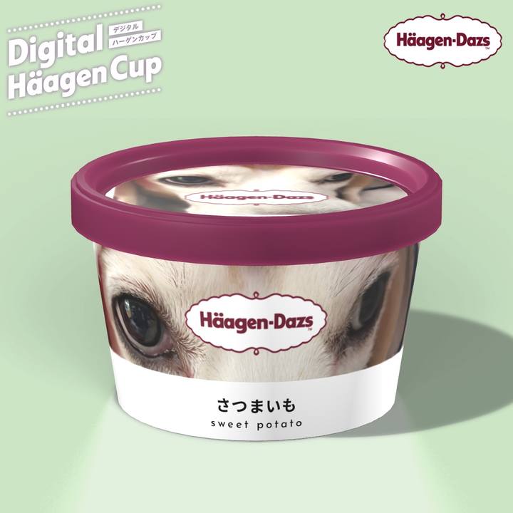 6ec08e0c 0a2d 4a97 ac36 b73896131320 1607504762903