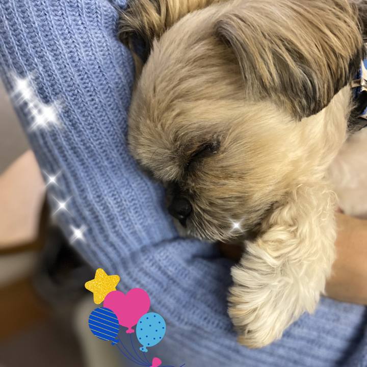 6ec0a1cf 193e 41e1 83ef 830185bbb649 1674699790319