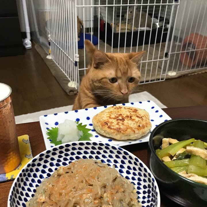 6ec0a2e2 dfe7 4e2a ac21 1cd5ee74c7e9 1538656911669