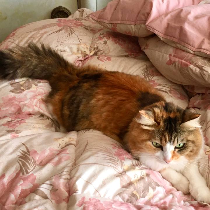 6ec0a331 a92b 4f56 9757 d192575123dd 1575861226641